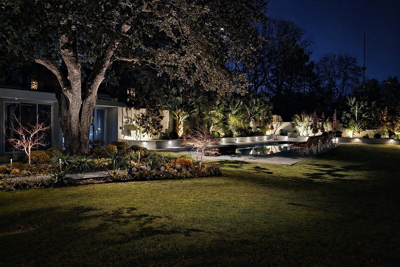 Modern pool terrace at night beneath a large live oak tree.