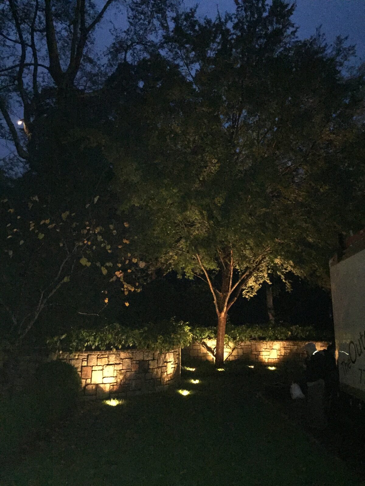 Stacked-stone retaining wall and a single uplit tree in a side yard.